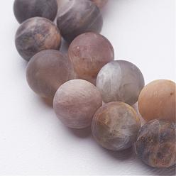 Sunstone Natural Black Sunstone Bead Strands, Frosted, Round, 8.5mm, Hole: 1mm, about 46pcs/strand, 14.9 inch(380mm)