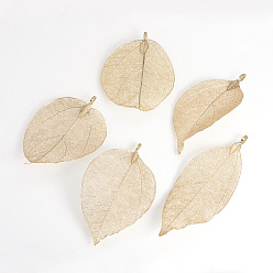 Light Gold Plated Electroplated Natural Leaf Big Pendants, with Iron Findings, Light Gold Plated, 55~85x25~40x1mm, Hole: 3x6mm