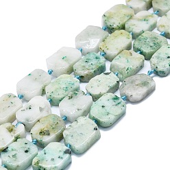 Jaspe Sésame Naturelles sésame jaspe perles brins, rectangle, 15~17x10~15x5~7mm, Trou: 1mm, Environ 22 pcs/chapelet, 15.94'' (40.5 cm)