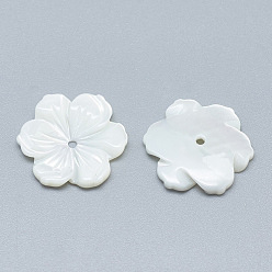 Cáscara Blanca Cuentas de concha natural de blanco, cuentas de concha de nácar, flor, 15~16x14~15x2~3 mm, agujero: 1 mm