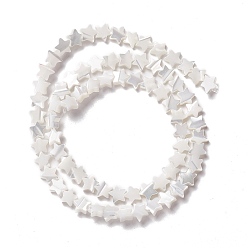 Seashell Color Natural Trochid Shell/Trochus Shell Beads, Star, Seashell Color, 6x6.5x2~2.5mm, Hole: 0.8mm, about 74pcs/strand, 15.59 inch(39.6cm)