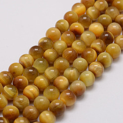 Gold Natural Tiger Eye Bead Strands, Round, Dyed & Heated, Gold, 10mm, Hole: 1.2mm, about 38pcs/strand, 14.9 inch~15.5 inch