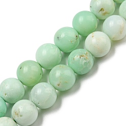 Chrysoprase Grade A Natural Chrysoprase Beads Strands, Round, 8mm, Hole: 0.8mm, about 48pcs/strand, 15.16''(38.5cm)