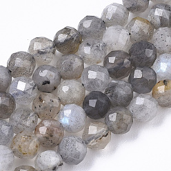 Labradorite Chapelets de perles labradorite naturelle , ronde, facette, 4mm, Trou: 0.8mm, Environ 90 pcs/chapelet, 15.75 pouce (40 cm)