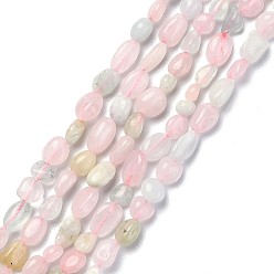 Morganite Chapelets de perles morganite naturelles  , pierre tombée, nuggets, 5~12x5~7mm, Trou: 0.8mm, Environ 46~57 pcs/chapelet, 15.16 pouce (38.51 cm)