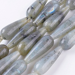Labradorite Chapelets de perles labradorite naturelle , larme, 28.5~30x10~10.5mm, Trou: 1.8mm, Environ 13 pcs/chapelet, 15.1 pouce (38.5 cm)