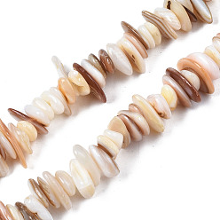 Color de la concha Cuentas de concha de perla natural hebras, patatas fritas, color de concha, 0.4~4x6.5~20x4.5~8.5 mm, agujero: 0.7~0.8 mm, sobre 301~340 unidades / cadena, 30.94 pulgada ~ 32.36 pulgada (78.6 cm ~ 82.2 cm)