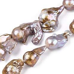 Plum Natural Baroque Pearl Keshi Pearl Beads Strands, Cultured Freshwater Pearl, Nuggets, Plum, 22~40x16~39x12~18.5mm, Hole: 0.6mm, about 14~15pcs/strand, 16.54 inch~16.93 inch(42~43cm)
