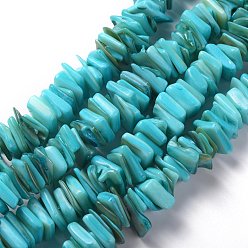 Turquoise Foncé Eau douce naturelle de coquillage perles brins, teint, carrée, turquoise foncé, 11~16.5x10~13x1~7mm, Trou: 1.2mm, Environ 190 pcs/chapelet, 14.96 pouce (38 cm)
