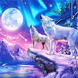 Colorful DIY Wolf & Scenery Diamond Painting Kits, including Resin Rhinestones, Diamond Sticky Pen, Tray Plate and Glue Clay, Colorful, 300x400mm