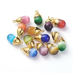 Mixed Color Cat Eye Pendants, with Golden Plated Brass Findings, Teardrop, Mixed Color, 23.5x11.5mm, Hole: 1.7mm