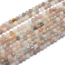 Multi-Moonstone Brins de perles multi-pierres de lune naturelles, facette, ronde, 3mm, Trou: 0.5mm, Environ 142 pcs/chapelet, 15.7 pouce (40 cm)