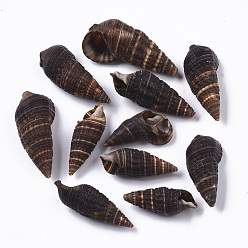 Brun De Noix De Coco Perles de coquillage en spirale naturelle, coquille de turritella, perles non percées / sans trou, brun coco, 23~33x9~15x8~11mm