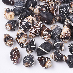 Coconut Brown Spiral Shell Beads, Coconut Brown, 10~16x7~10x7~9mm, Hole: 1~3mm, about 1080pcs/500g