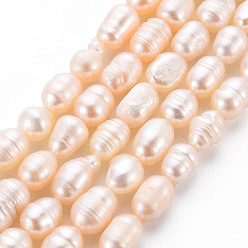 Color de la concha Hilos de perlas de agua dulce cultivadas naturales, arroz, color de concha, 7~9x6~7 mm, agujero: 0.5 mm, sobre 22~23 unidades / cadena, 7.09'' (18 cm)