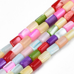 Colorful Natural Trochid Shell/Trochus Shell Beads Strands, Dyed, Column, Colorful, 4~5x3~3.5mm, Hole: 0.9mm, about 77~78pcs/strand, 15.55 inch~15.75 inch(39.5~40cm)