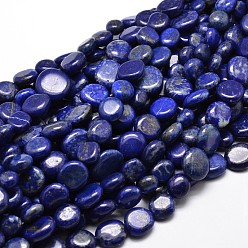 Lapis Lazuli Natural Lapis Lazuli Gemstone Nuggets Bead Strands, Tumbled Stone, 9~12x8~13x5~7mm, Hole: 1mm, about 15.3 inch~15.7 inch