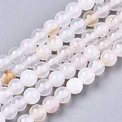Blanc Floral Brins de perles de naturelles craquements en agate , teint, ronde, floral blanc, 4mm, Trou: 0.5mm, Environ 91~95 pcs/chapelet, 14.57 pouces ~ 15.35 pouces (37~39 cm)