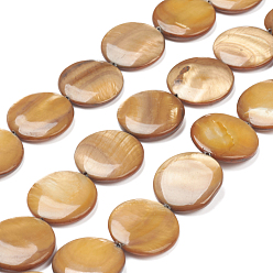 Freshwater Shell Natural Freshwater Shell Beads, Flat Round, 20x3.5~4.5mm, Hole: 0.5mm, about 20pcs/strand, 15.94 inch(40.5cm)