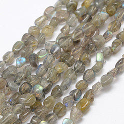 Labradorite Natural Labradorite Beads Strands, Tumbled Stone, Nuggets, 5.5~10x4~8mm, Hole: 1mm, about 15.3 inch(39cm)