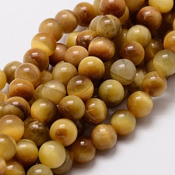 Gold Natural Tiger Eye Round Beads Strands, Gold, 10mm, Hole: 1mm, about 38pcs/strand, 15.7 inch