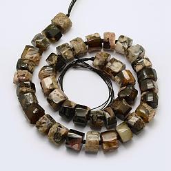 Coconut Brown Natural Cherry Blossom Agate Beads Strands, Dyed, Faceted, Column, Coconut Brown, 14~17x8~13mm, Hole: 2.5mm, about 40pcs/strand, 20.2 inch(51.5cm)