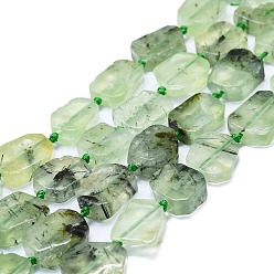 Prehnite Natural Prehnite Beads Strands, Rectangle, 15~17x10~13x5~6mm, Hole: 1mm, about 22pcs/strand, 15.94''(40.5cm)