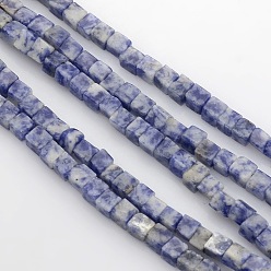 Jaspe Avec Point Bleu Cube perles de jaspe point bleu naturel, 4x4x4mm, Trou: 1mm, Environ 85~100 pcs/chapelet, 15.3 pouces ~ 15.8 pouces