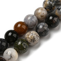 Jaspe Paysage Perles de jaspe dendritiques naturelles, jaspe de chohua, ronde, 6mm, Trou: 0.8mm, Environ 65 pcs/chapelet, 15.35'' (39 cm)