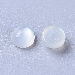 White Moonstone Cabochons en pierre de lune blanche naturelle, demi-tour / dôme, 6x3mm