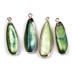 Dark Sea Green Natural Freshwater Shell Pendants, with Iron Loops, Edge Golden Plated, Dyed, Teardrop, Dark Sea Green, 31~33x10.5~12x5mm, Hole: 1.8mm