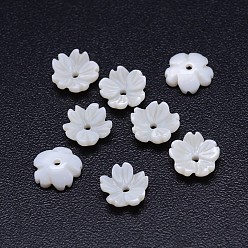 Freshwater Shell 5-Petal Flower Natural Freshwater Shell Beads, 8x3mm, Hole: 1mm