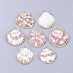Colorful Electroplate Sea Shell Pendants, with Iron Findings, Light Gold, Colorful, 30~45x30~45x3~7mm, Hole: 1.0mm