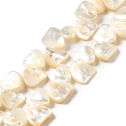 Blanc Shell normal de perles blanches de brins, triangle, blanc, 12x12x3mm, Trou: 0.5mm, Environ 46 pcs/chapelet, 15.55 pouce (39.5 cm)