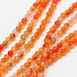 Cornaline Brins de perles de cornaline naturelles, ronde, teints et chauffée, 3mm, Trou: 0.8mm, Environ 126 pcs/chapelet, 15 pouce