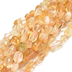 Citrine Natural Citrine Beads Strands, Nuggets, Dyed & Heated, 7~10x7~8x5~6mm, Hole: 0.8mm, about 49pcs/Strand, 15.75 inch(40cm)