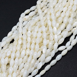Blanc Brins de perles de coquillage naturel teint, ovale, blanc, 8x4mm, Trou: 1mm, Environ 50 pcs/chapelet, 15.7 pouce (40 cm)