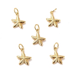 Real 18K Gold Plated Brass Pendants, Long-Lasting Plated, Cadmium Free & Lead Free, Starfish, Real 18K Gold Plated, 11x8.5x2mm, Hole: 2.5mm