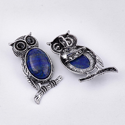Lapis Lazuli Broches/pendentifs en lapis lazuli naturel, avec strass et les accessoires en alliage, chouette, argent antique, 51x28~29x15~16.5mm, Trou: 4.5x8.5mm, pin: 0.5 mm