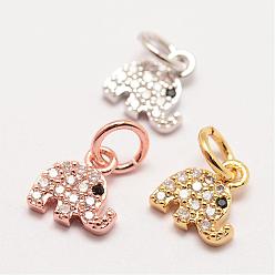 Mixed Color Brass Micro Pave Grade AAA Cubic Zirconia Charms, Long-Lasting Plated, Elephant, Cadmium Free & Nickel Free & Lead Free, Mixed Color, 8x7.5x1.5mm, Hole: 3mm