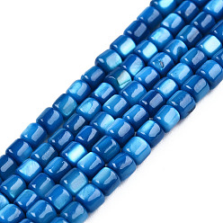 Озёрно--синий Естественных пресноводных оболочки бисер нитей, окрашенные, колонка, Плут синий, 3.5x3~3.5 мм, отверстие : 1 мм, около 111~117 шт / нитка, 14.37 дюйм ~ 14.65 дюйм (36.5~37.2 см)