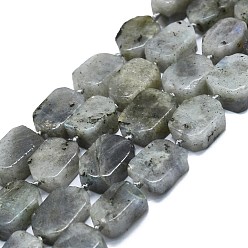 Labradorite Chapelets de perles labradorite naturelle , rectangle, 15~17x10~13x5~7mm, Trou: 1mm, Environ 22 pcs/chapelet, 15.94 pouce (40.5 cm)
