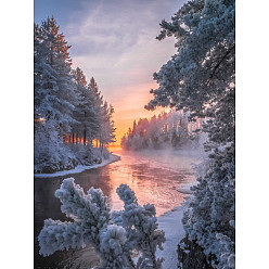 Snow DIY Rectangle Forest Snow Scenery Theme Diamond Painting Kits, Including Canvas, Resin Rhinestones, Diamond Sticky Pen, Tray Plate and Glue Clay, Snow, 400x300mm
