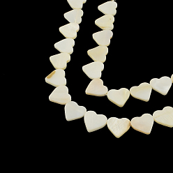 Autres Coquillages De Mer Coeur brins de perles de coquillage naturel, 13x13~14x2~3mm, Trou: 0.5mm, Environ 28 pcs/chapelet, 15.3 pouce
