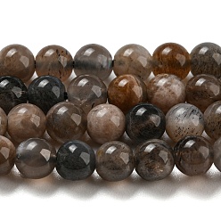 Black Moonstone Opalo negras hebras naturales, rondo, 4.5 mm, agujero: 0.7 mm, sobre 92 unidades / cadena, 15.55'' (39.5 cm)