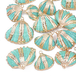 Turquoise Spray Paint & Electroplate Sea Shell Pendants, with Iron Findings, Light Gold, Turquoise, 18~30x20~30x7~11mm, Hole: 2mm