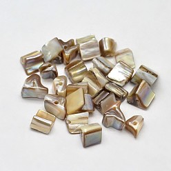 Dark Khaki Dyed Natural Freshwater Shell Chip Beads, Dark Khaki, 8~15x7~8mm, Hole: 1mm, about 750pcs/500g