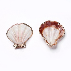 Shell Shell Pendants, with Iron Findinggs, Shell, Light Gold, 38.5~42x35~38x6.5~8mm, Hole: 1.6~1.8mm