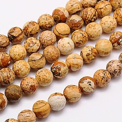 Picture Jasper Natural Picture Jasper Beads Strands, Faceted, Round, 8mm, Hole: 1mm, about 46pcs/strand, 15.75 inch