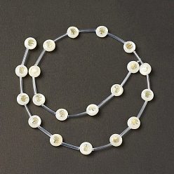 Tree of Life Eau douce naturelle de coquillage perles brins, avec tranches de laiton et émail, couleur de coquillage, plat rond, modèle de l'arbre de vie, 8.5x3.2mm, Trou: 0.7mm, Environ 20 pcs/chapelet, 15.55'' (39.5 cm)